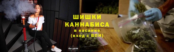 2c-b Козельск