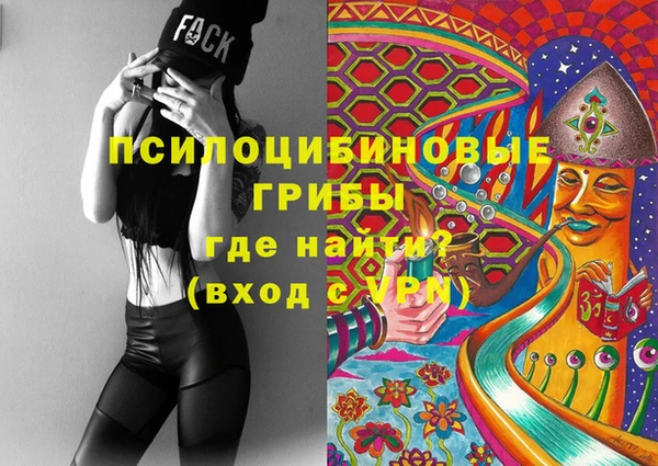 mdpv Кодинск