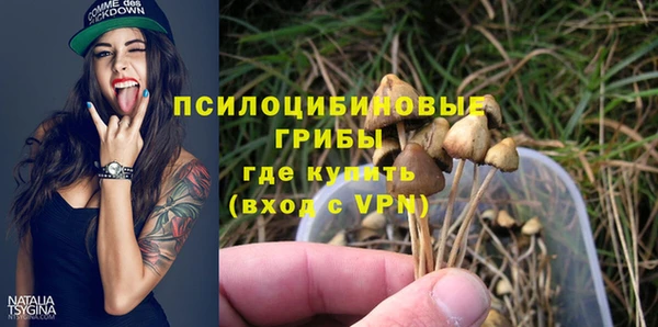 прущий лед Киреевск