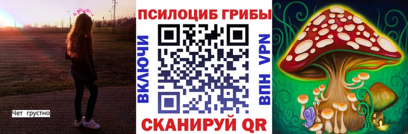 Псилоцибиновые грибы Psilocybine cubensis  Называевск 